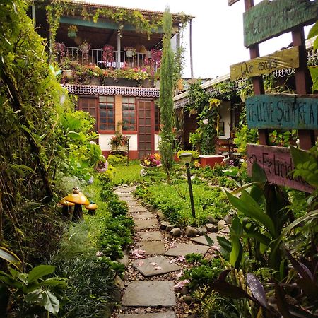 Hotel Casa Chapultepec 코반 외부 사진