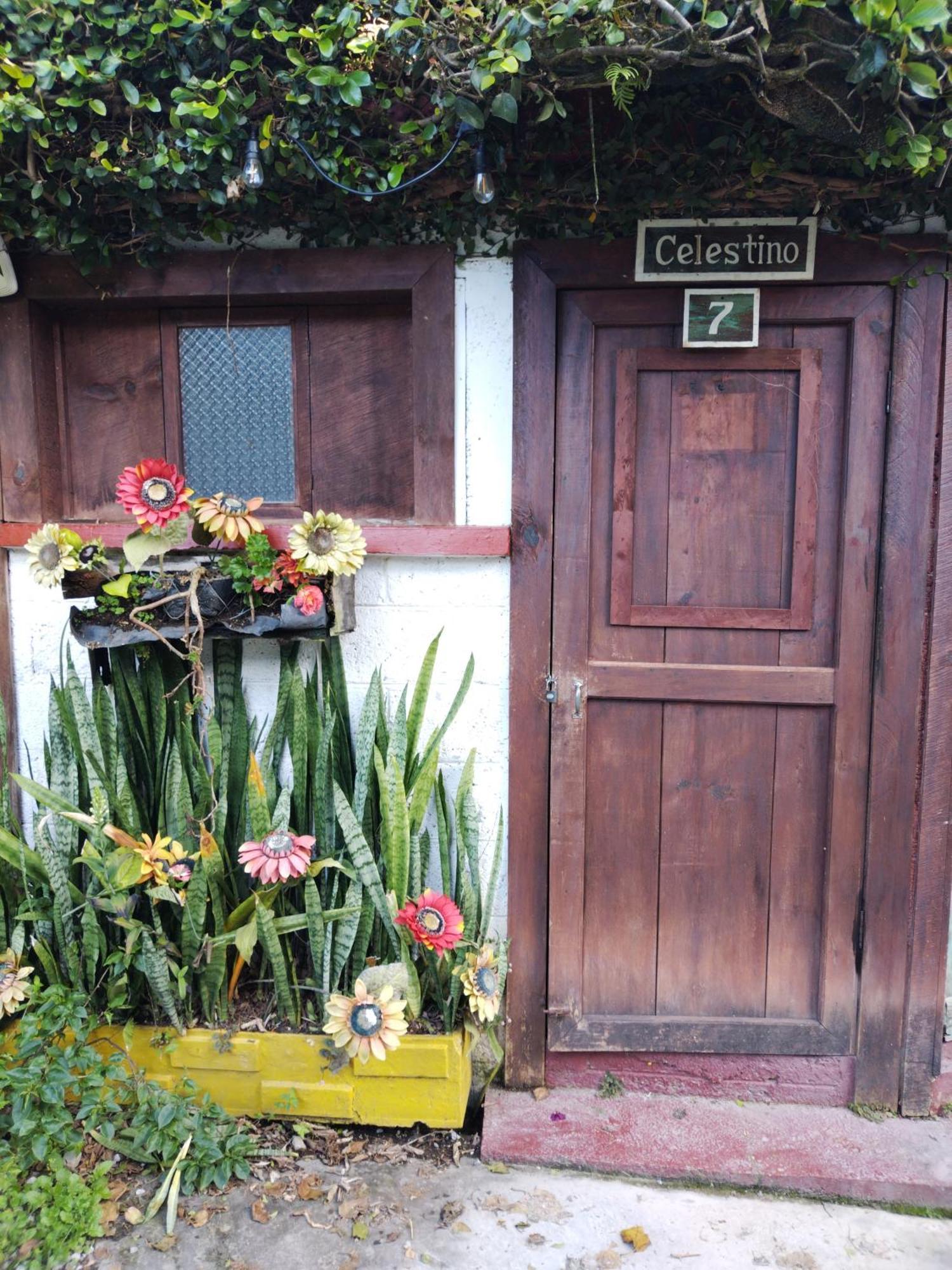 Hotel Casa Chapultepec 코반 외부 사진