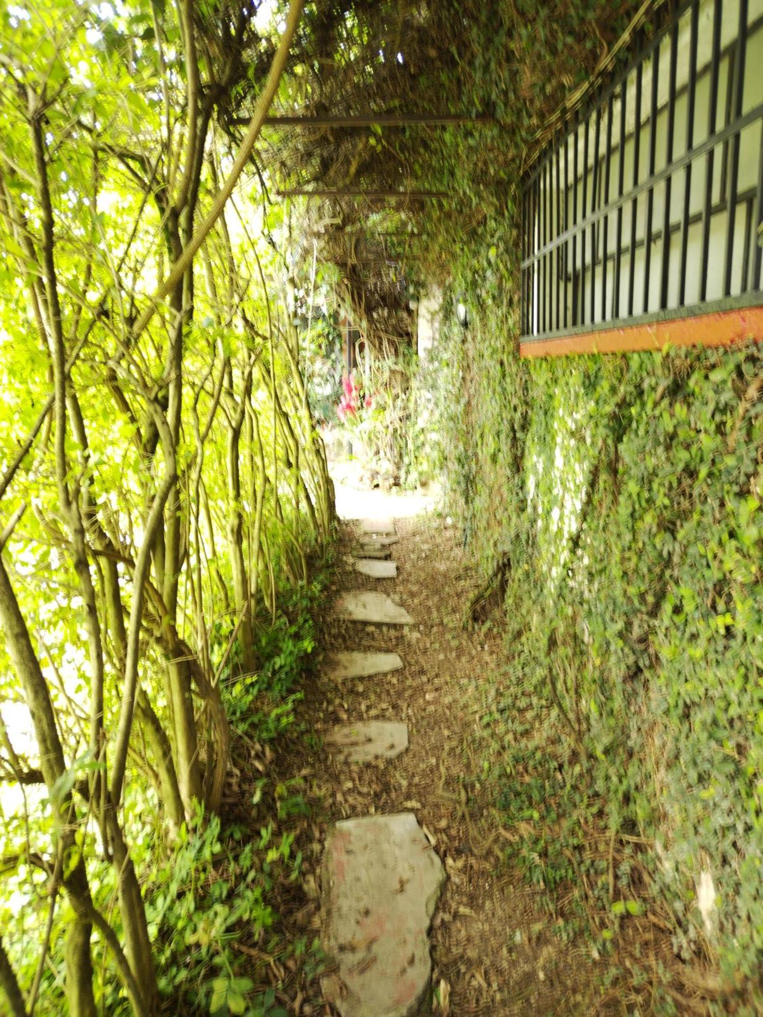 Hotel Casa Chapultepec 코반 외부 사진