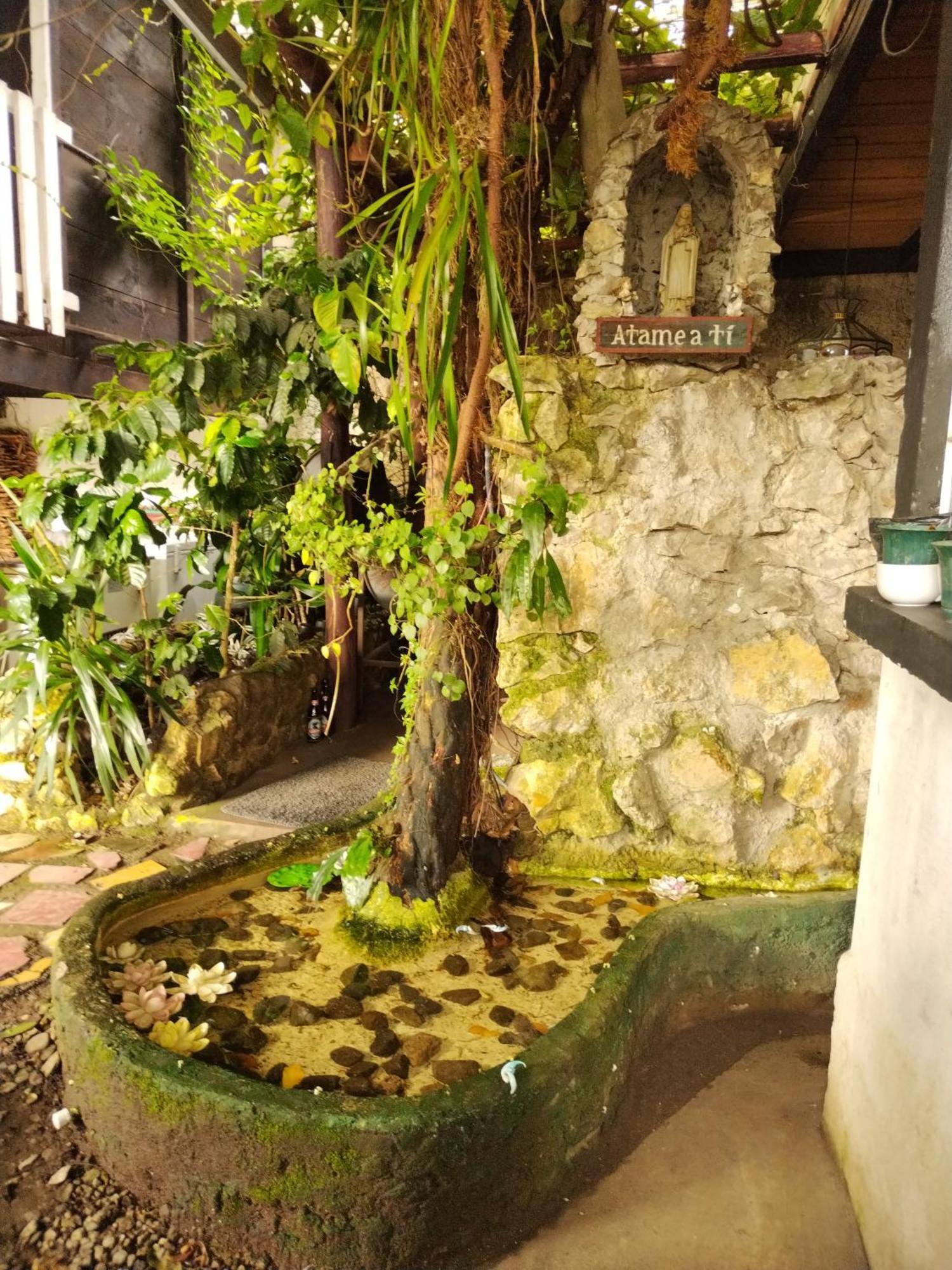 Hotel Casa Chapultepec 코반 외부 사진