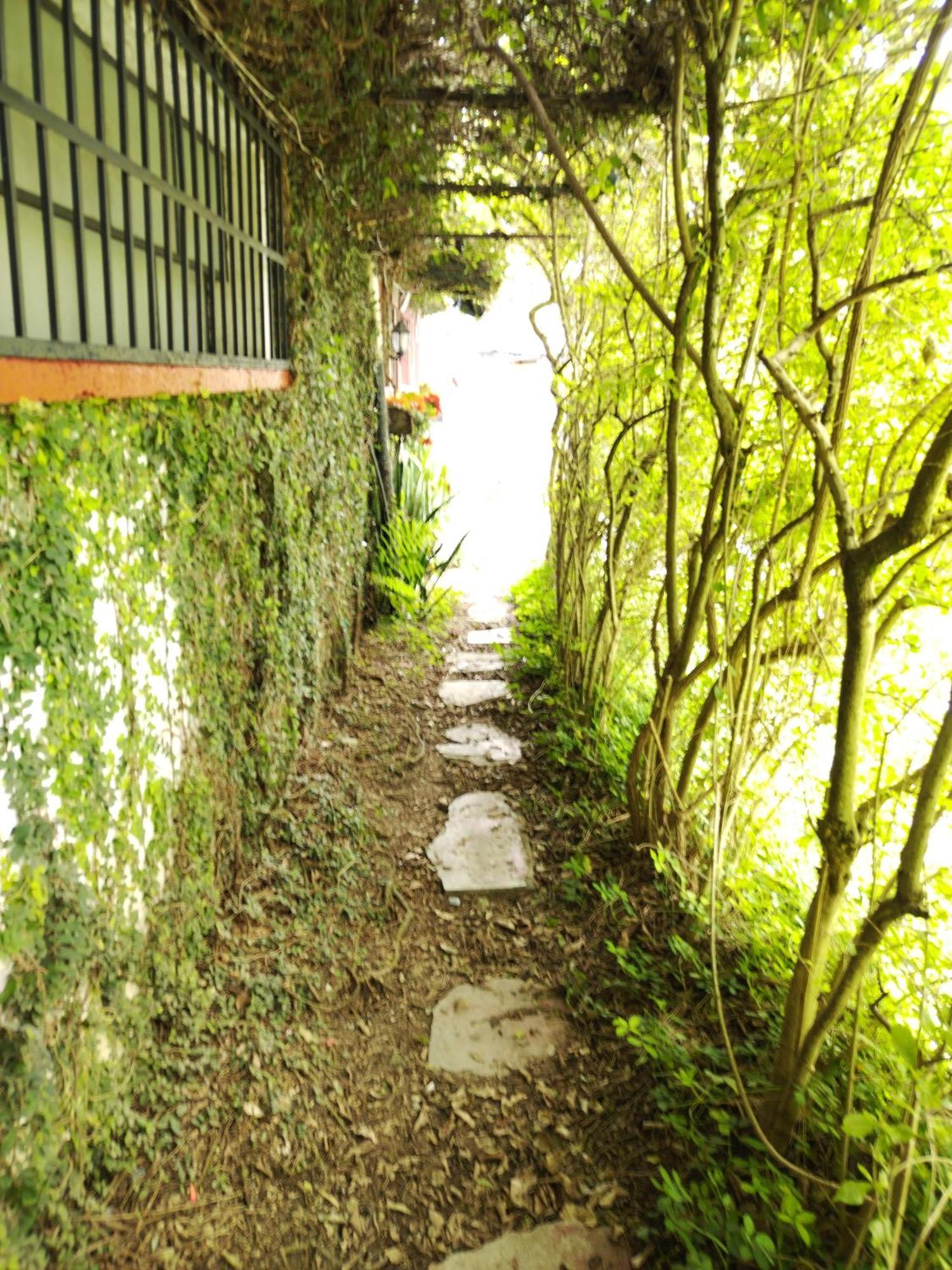 Hotel Casa Chapultepec 코반 외부 사진