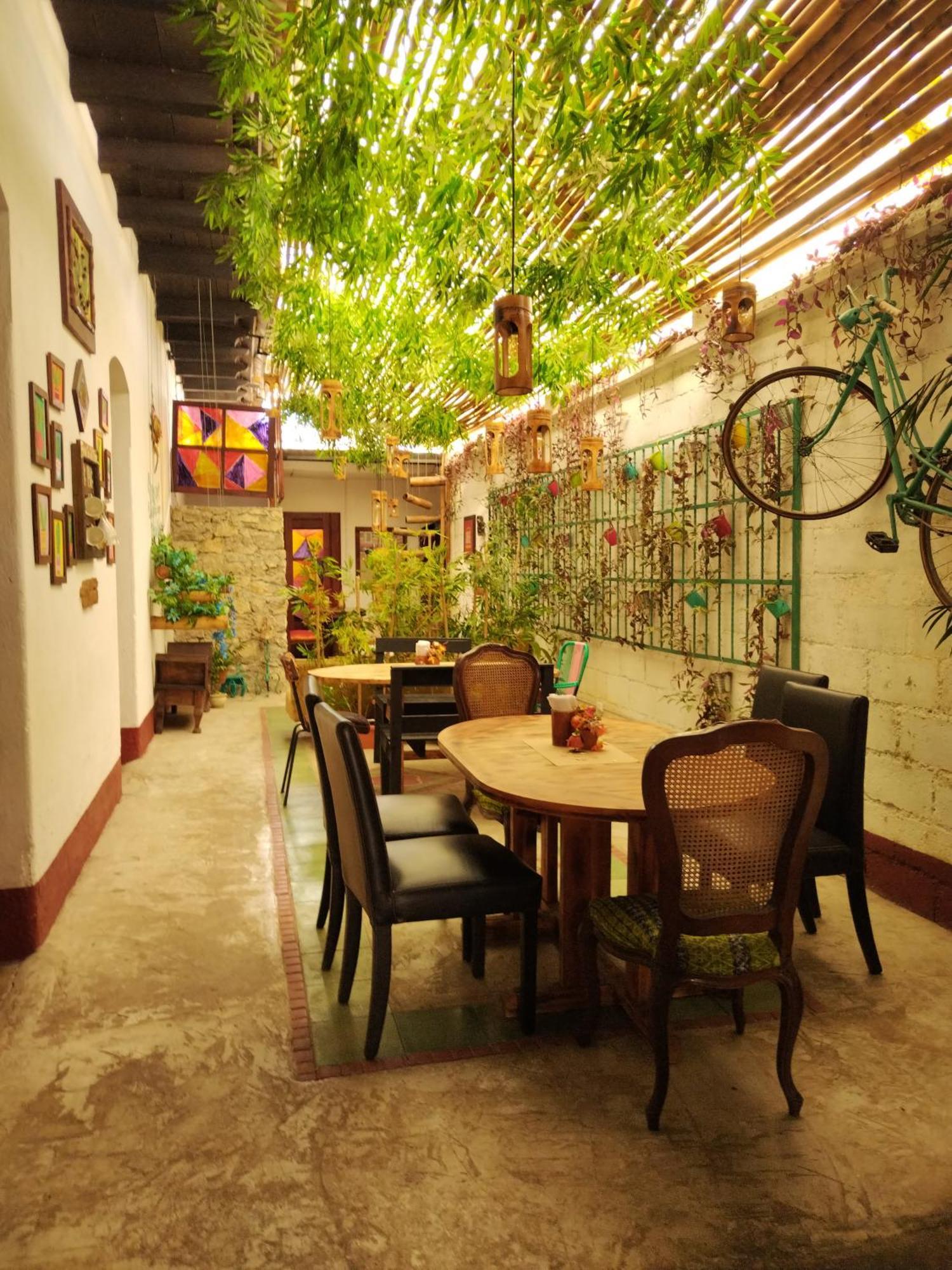 Hotel Casa Chapultepec 코반 외부 사진