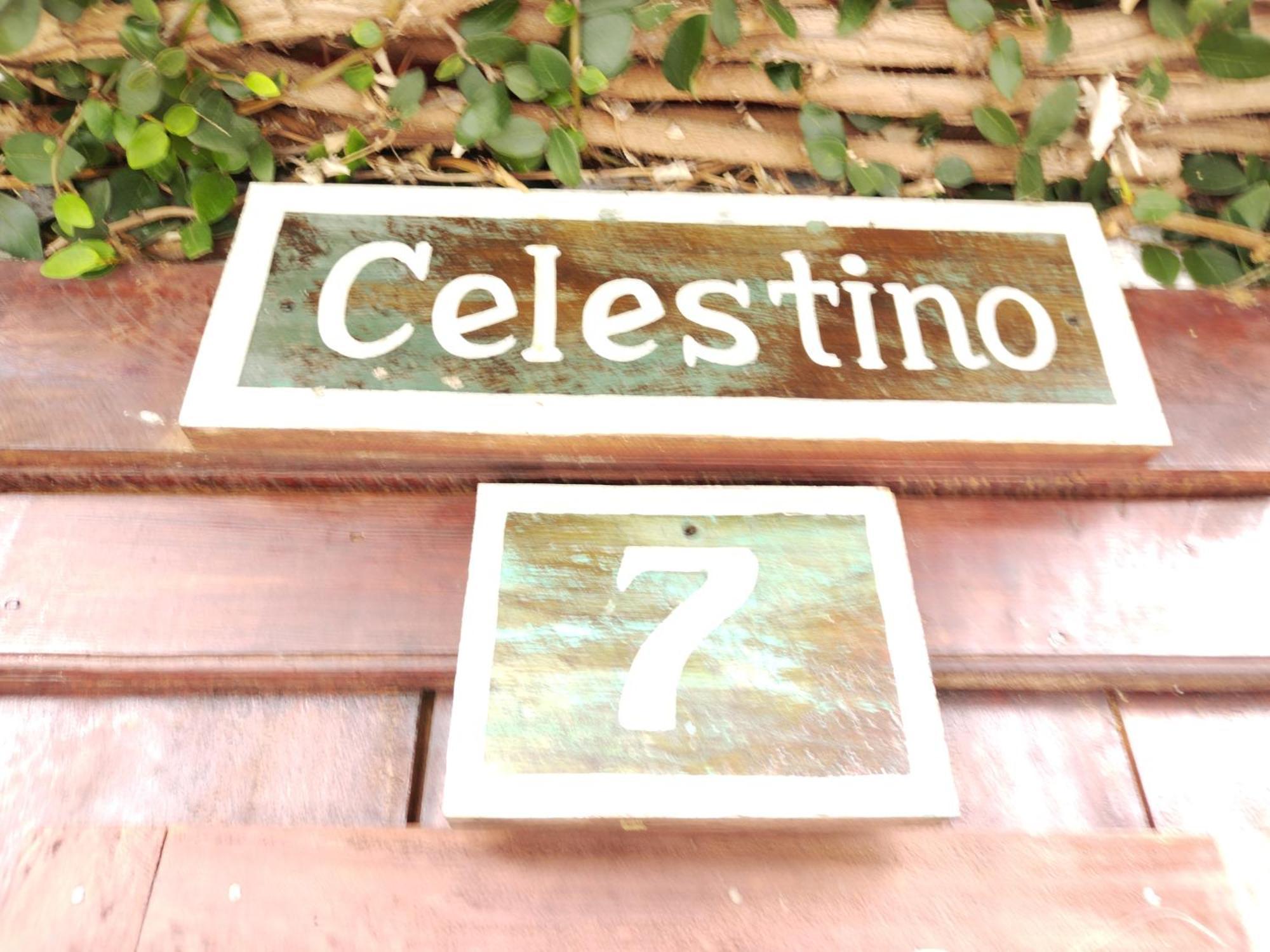 Hotel Casa Chapultepec 코반 외부 사진